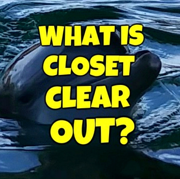 Posh Closet Clear Out!! - Picture 1 of 7